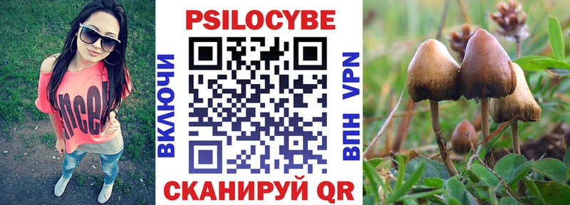 Псилоцибиновые грибы прущие грибы  Динская 